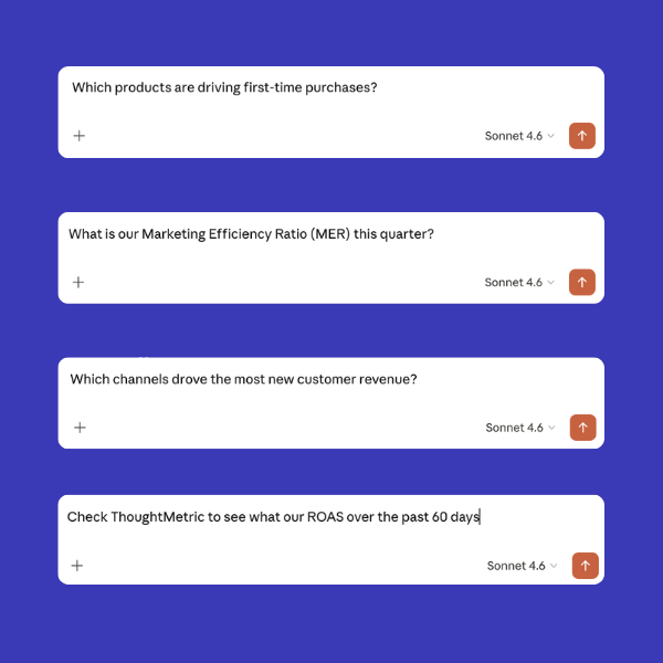 Example questions in Claude