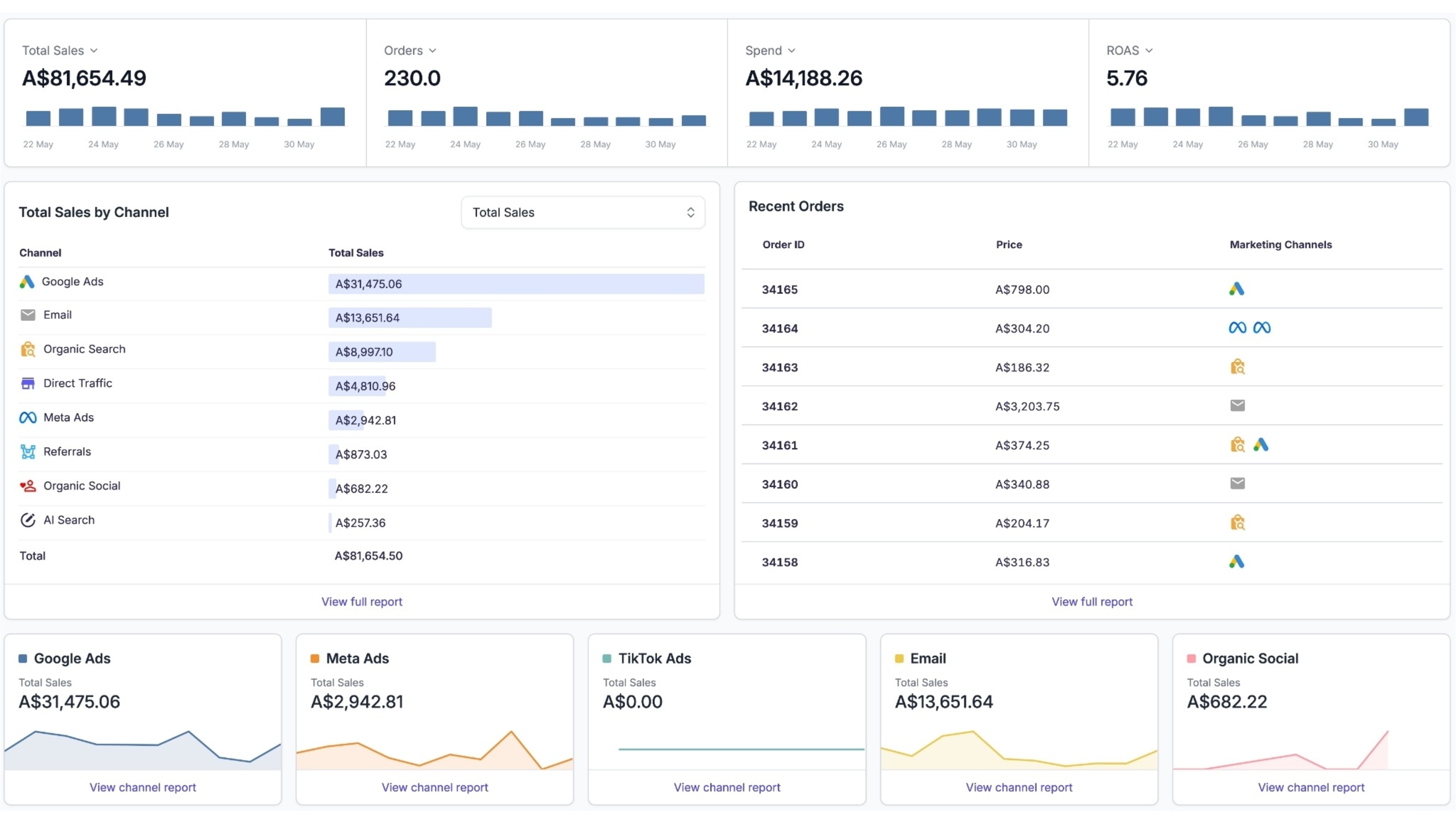 ThoughtMetric Ecommerce Marketing Analytics Screenshot